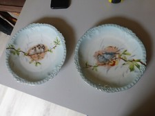 superbe paire d' assiette ancienne en porcelaine fond pastel oiseaux sur branche