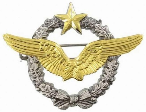 Insigne brevet pilote - insigne,