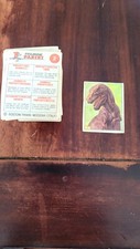 Stickers Figurine Panini Animaux Prehistoriques 1974 vente à l unité 4,5 euro