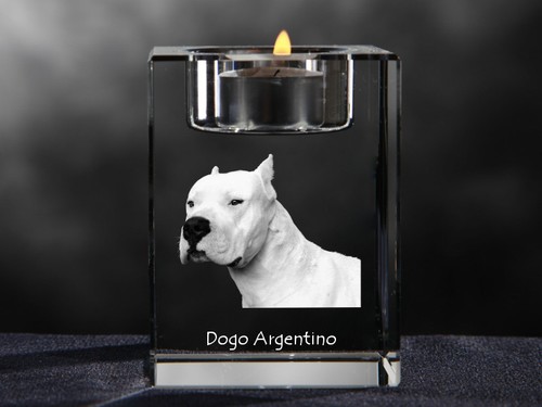 Dogue argentin bougeoir en - argentin,,