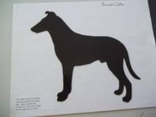 Smooth Collie Dtacked Car