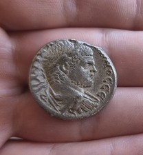 Caracalla tyros - caracalla,