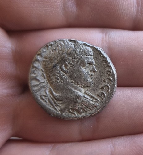 Caracalla tyros - caracalla,