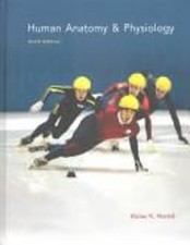 Anatomie Humaine Et