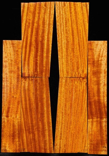 African ribbon mahogany - african,