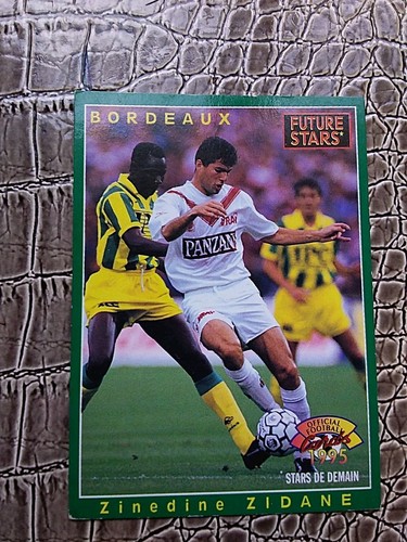 Panini official football cards - panini,