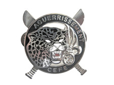 LEGION ETRANGERE 3° REI BREVET ARGENTE COMMANDO AGUERRISSEMENT CEFE (NUMEROTE 3)