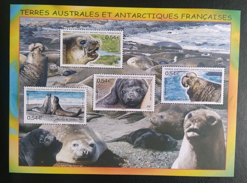 Bloc timbres taaf 19 - taaf, n°