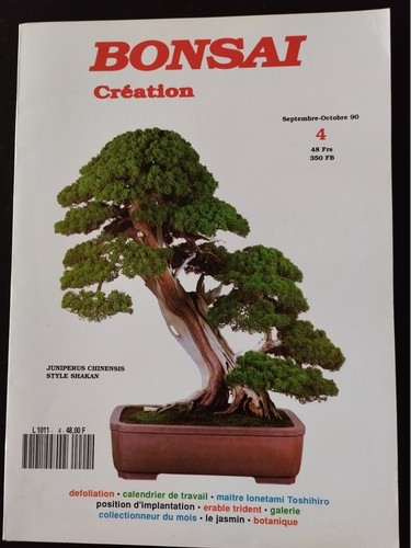 Bonsai création du - bonsai, n°4