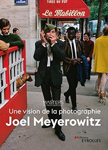 Joel meyerowitz une vision de - meyerowitz,,