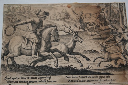 Gravure scene chasse courre - scene,