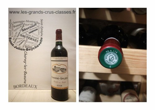 Château chasse spleen 2008 - château,