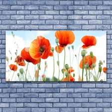 Tableau Image Impression sous verre 140x70 Floral Coquelicots