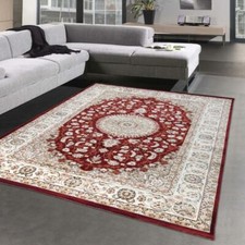 Elégant Tapis d'Orient avec