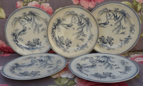 Creil assiettes anglaise - ?,