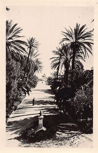 Algérie alger hôpital - algérie,