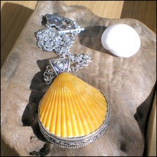 COLLIER NEUF COQUILLAGE & ARGENT 925 CHAINE JASERON LIVRAISON A DOMICILE EN 48H