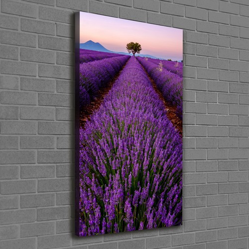 Tulup tableau sur - tableau, image