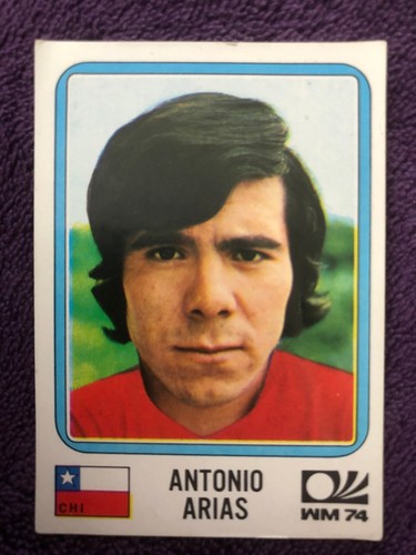Panini image coupe du - panini,
