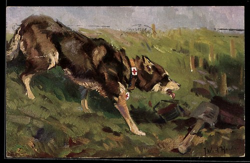 Chien santé travail - chien, de