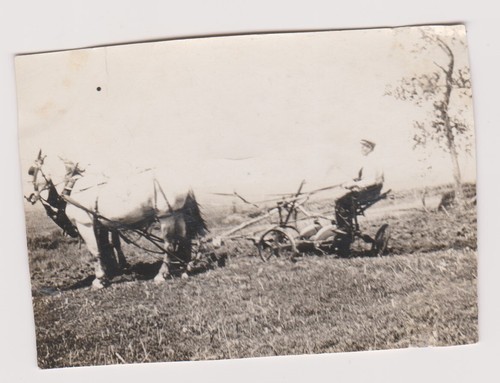 Photo ancienne fermier - ancienne, 🎞️