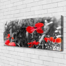 Impression sur toile Image tableaux 125x50 Floral Coquelicots