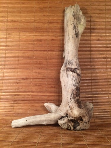 Beautiful driftwood piece - beautiful, 17"