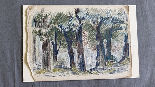 Felicia pacanowska - felicia, (1907-2002)