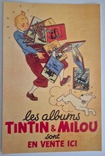 TINTIN  autocollant