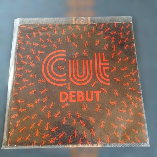 Skins coupe EP UK US Punk Oi