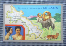 Chromo carte publicitaire Lion