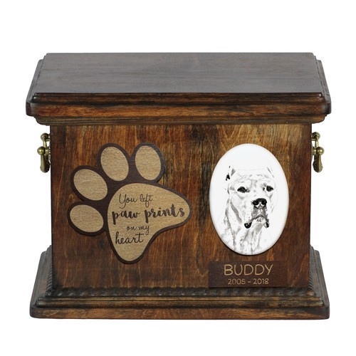 Dogue argentin urne avec - -, un