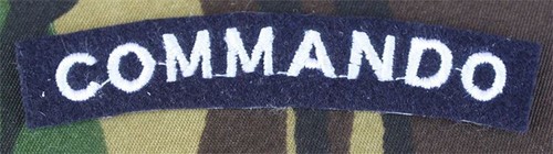 Paire insignes commando - paire,