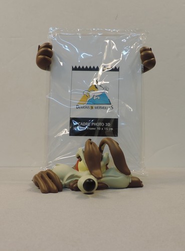 Coyote looney tunes cadre - coyote,