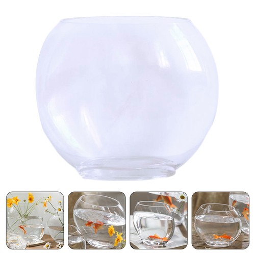 Aquarium domestique accessoire - domestique,