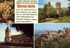 Juché sur son coteau cerné par son vignoble CHATEAU CHALON vin jaune