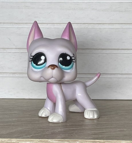 Petshop chien danois dogue - chien,