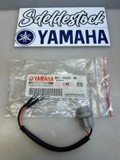 1 faisceau veilleuse phare