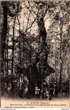 23300 cpa 44 Le Gavre - le chêne au Duc ...