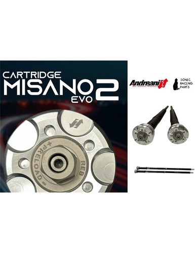 305 cf01e cartouche andreani - 305/cf01e,