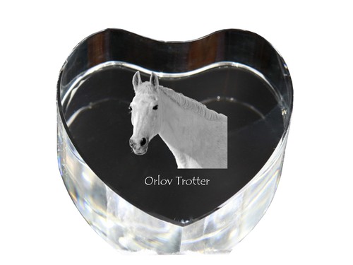 Trotteur orlov cœur - trotteur,