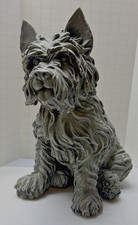Westie Cairn Terrier Dog