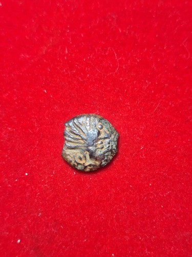Bronze gaulois sénons - bronze,