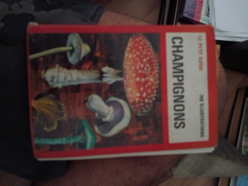 Livre petit guide - le,