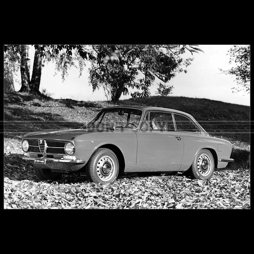 Photo 037244 alfa - a.037244,