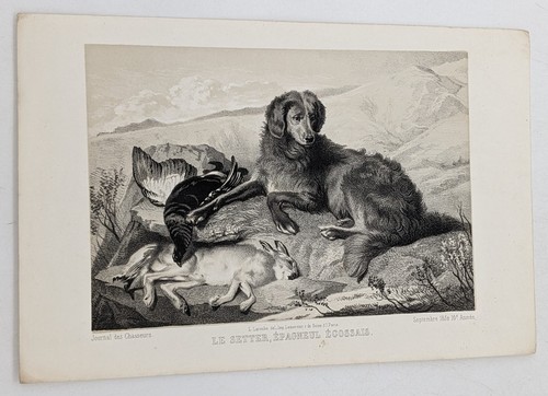 Gravure laroche le setter - :,
