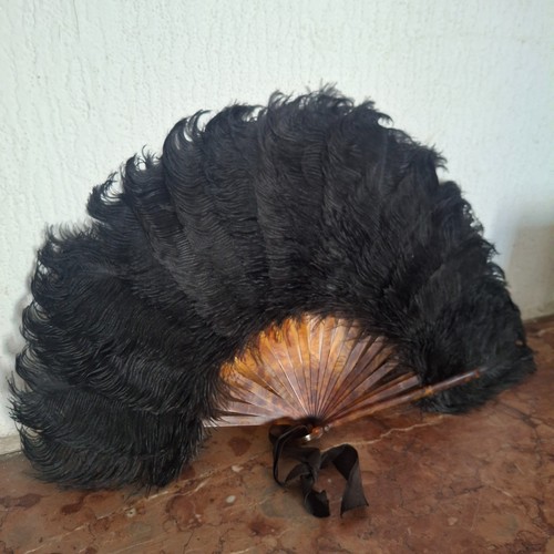 Ancien éventail plume - éventail,