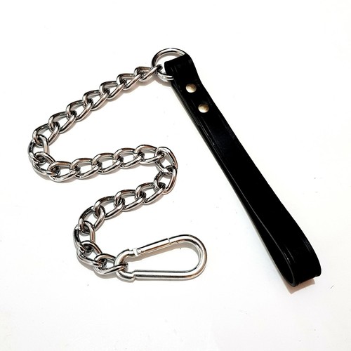 Laisse pour chien chromée - laisse,