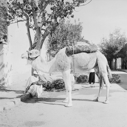 Tirage photo sur papier