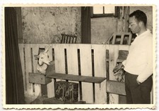 Homme bergerie mouton brebis